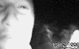 Ubik 13/12