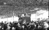 bologna new year 99
