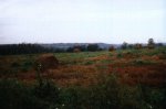 Le paysage du teknival d'Ozora en Hongrie, le 11 août 1999